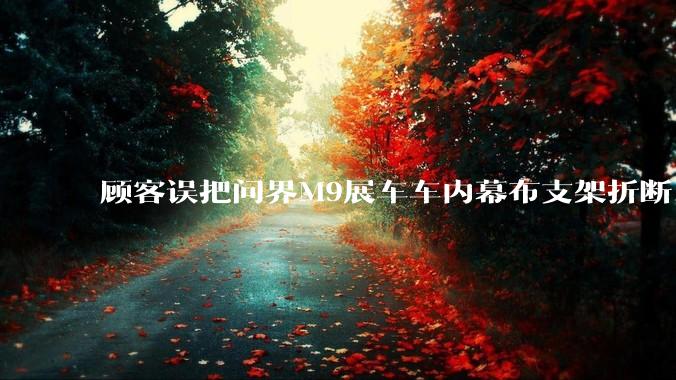 顾客误把问界M9展车车内幕布支架折断，被要求赔偿7000-10000元，你怎么看？